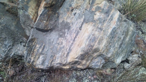 Гигантские зелёные валуны для ландшафтного дизайна весом более 5 тонн купить в Юрюзани