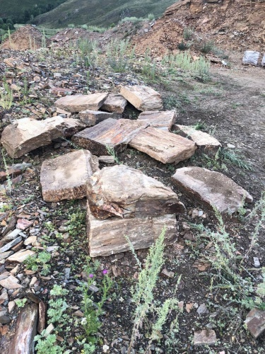 Плитняк кора дерева 50-100мм для пошаговых дорожек купить в Юрюзани